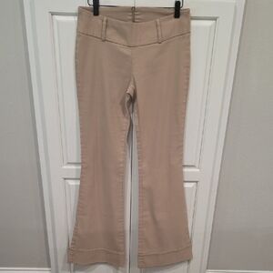 Wild Cat Dress Pants